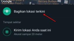 Cara Bagikan Live Location di WhatsApp, Pantau Posisi Teman, Keluarga, Ayang secara Real Time
