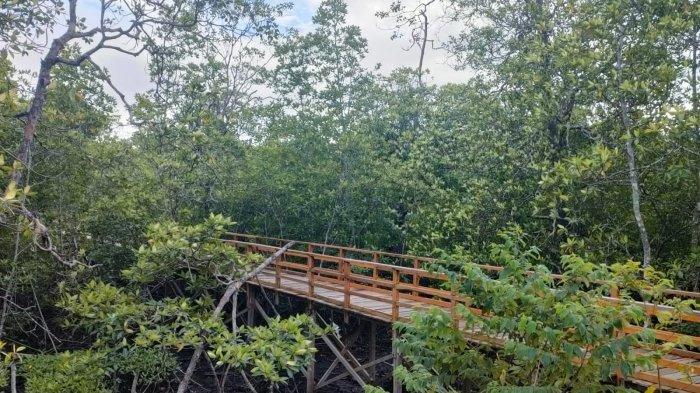 Wisata Mangrove Pering di Natuna, Kepri.