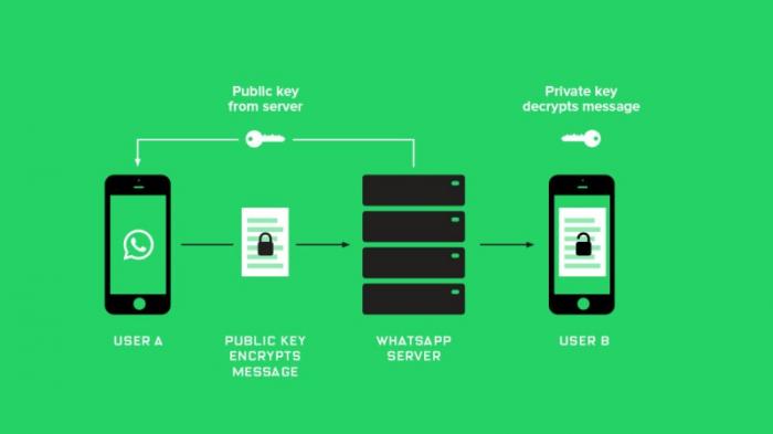 Apa Itu End-to-end Encryption dari WhatsApp? Ini Dia Penjelasannya ...