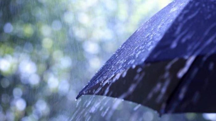 Apa yang harus dilakukan saat terjadi angin kencang?