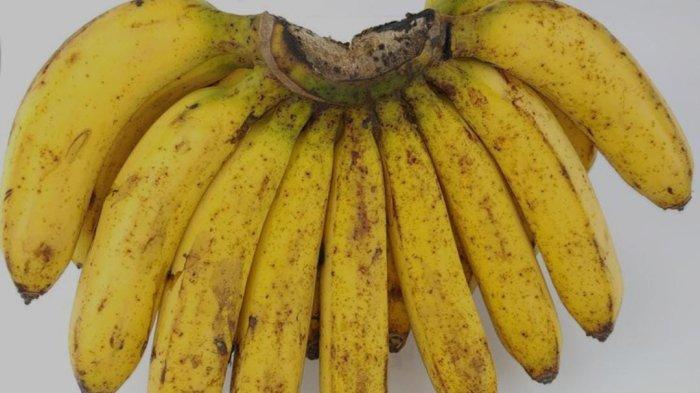 ilustrasi pisang barangan