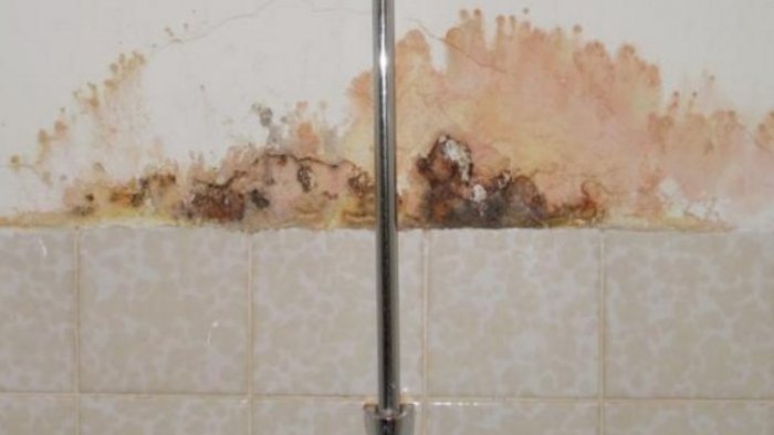 Inilah 4 Cara Jitu Usir Lembab di Kamar Mandi - Tribunjogja.com