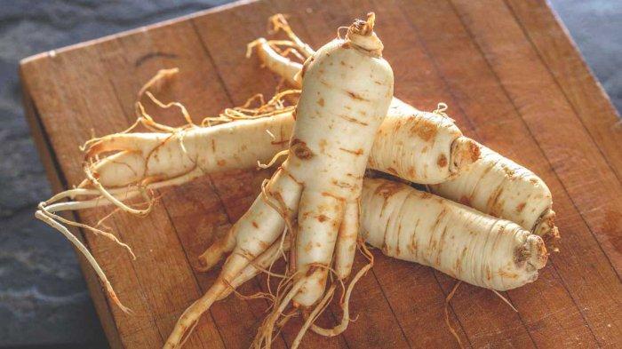 Khasiat ginseng