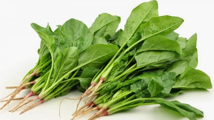 Sayur Bayam