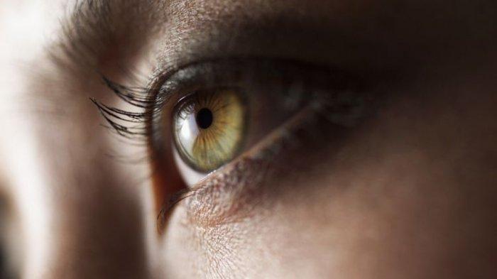 Ilustrasi mata