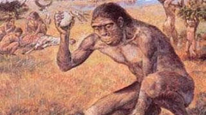 Mengenal Jenis Manusia Prasejarah Indonesia, Meganthropus, Pithecanthropus  hingga Homo Erectus - Halaman all - Tribunjogja.com