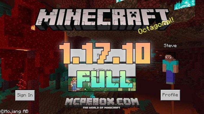 Minecraft 1.17.10 APK - Download MCPE 1.17.10.04 Free