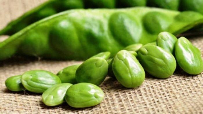 Petai: Si Biji Bau yang Kaya Manfaat dan Sensasi Rasa