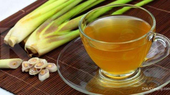 sereh daun pandan jahe