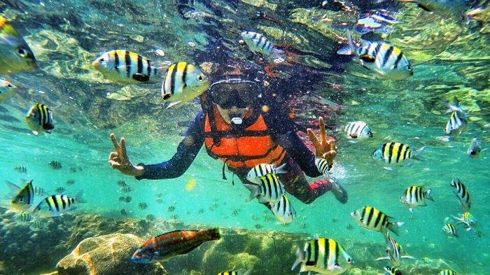 Snorkling di Pantai Nglambor