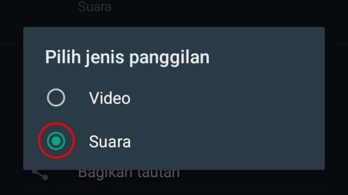 Cara Buat Link Panggilan Suara di WhatsApp, Tak Perlu Ribet Undang Satu Per Satu