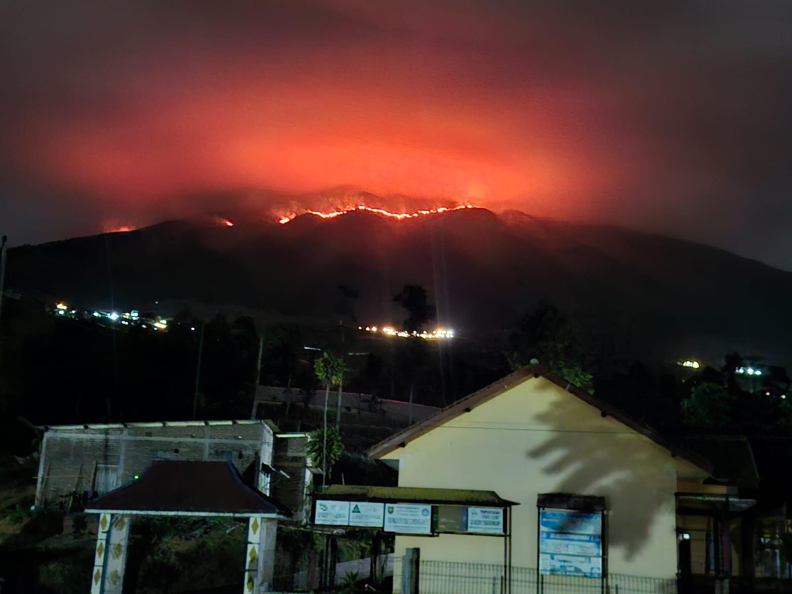 Si Jago Merah Mengamuk, Puluhan Hektare Hutan Sumbing Hangus