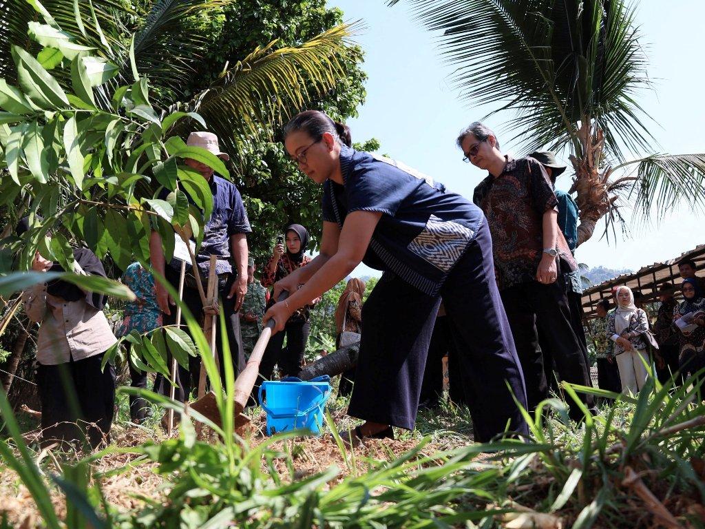 Pemulihan Hutan Rakyat: 20 Ribu Pohon Ditanam di Kulon Progo