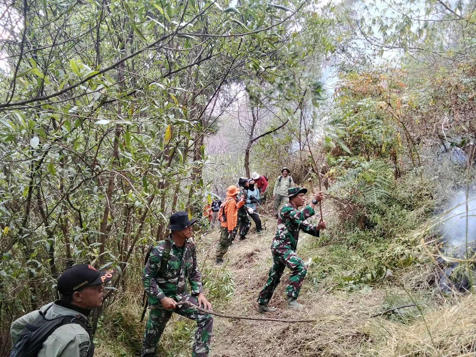 Api Belum Padam, 200 Hektare Hutan Sumbing Ludes