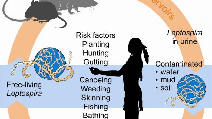 Ada 27 Kasus Leptospirosis Sepanjang 2026 di Kota Yogya, Warga Diminta Jaga Kebersihan Diri