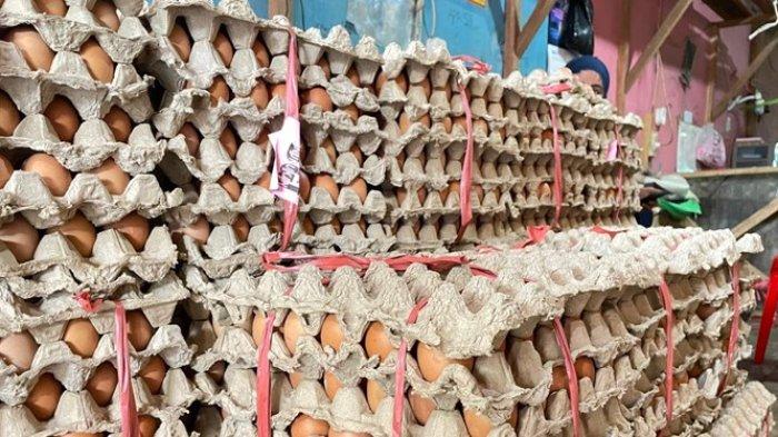 Agen telur ayam di Nunukan, Bunga sedang menunggu pelanggan yang ingin mengambil telur ayam yang sudah diboking sebelumnya, Sabtu (14/09/2024), siang.