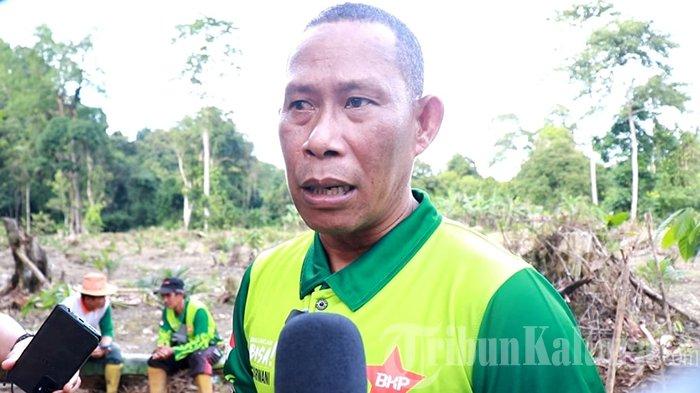 PROFIL SYARWANI – Bupati Bulungan, Syarwani saat menghadiri kegiatan panen bersama di lahan perkebunan di Desa Pejalin pada hari Rabu 9 April 2025. Berikut ini profil Syarwani, Bupati Bulungan Kalimantan Utara yang awal pekan ini ikut panen Padi Gogo bareng Ingkong Ala di Desa Pejalin.