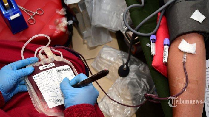 Petugas mengambil darah dari relawan saat acara donor darah yang digelar Ikatan Jurnalis Televisi Indonesia (IJTI) Korda Malang Raya, Rabu (14/9/2022). Berikut kumpulan pantun tentang donor darah, bisa jadi ajakan kemanusiaan terhadap sesama.