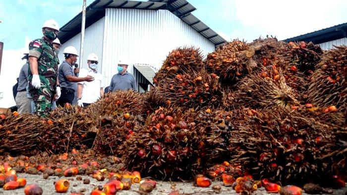 Ilustrasi, Pabrik Kelapa Sawit PT Bukit Borneo Sejahtera di Desa Kuala Lapang, Kecamatan Malinau Barat, Kabupaten Malinau, Provinsi Kalimantan Utara, beberapa waktu lalu.