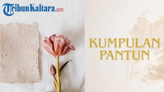 PANTUN BERANTAI - Ilustrasi kumpulan pantun. Simak kumpulan pantun berantai atau seloka 2 bait berikut ini, cocok jadi referensi tugas sekolah, bagikan ke teman.