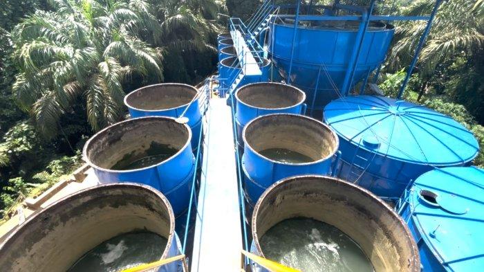 ILUSTRASI - Instalasi Pengolahan Air atau IPA yang dikelola Perumda Apa' Mening Malinau, Minggu (22/6/2025). Hingga kini jabatan Direktur PDAM Malinau tersebut lowong dan dalam tahap penjaringan oleh Panitia Seleksi.
(TRIBUNKALTARA.COM / MOHAMMAD SUPRI)