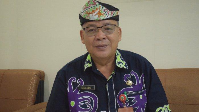 Kepala Dinas Pariwisata Provinsi Kalimantan Utara, Njau Anau. (Istimewa)