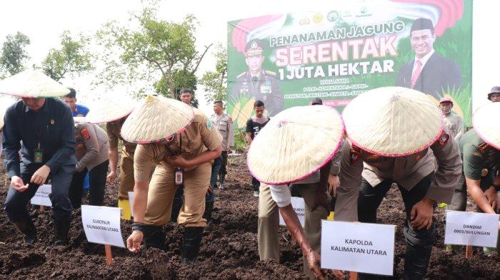 Penanaman satu hektar jagung yang dipimpin oleh Kapolda Kaltara di Desa Gunung Putih, Tanjung Palas Kalimantan Utara