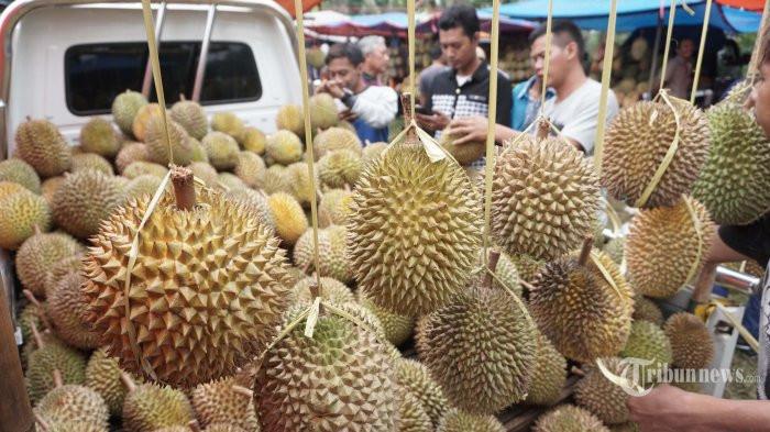 Manfaat buah durian