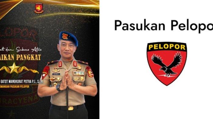 PETINGGI BRIMOB POLRI - Cek 26 daftar Jenderal baru usai namanya masuk dalam daftar lengkap mutasi Polri terbaru edisi Maret 2025, satu Perwira Tinggi jadi petinggi Brimob. Sosok yang dimaksud yakni Brigjen Pol Gatot Mangkurat Putra J.P.
