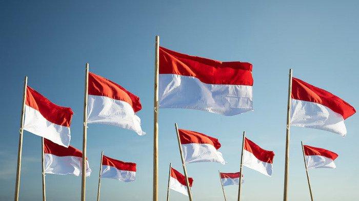 UCAPAN HARKITNAS 2025 - Potret bendera Indonesia dari Freepik.com. Simak kumpulan ucapan Hari Kebangkitan Nasional 2025 berikut, suarakan semangat persatuan dan perjuangan di media sosial.