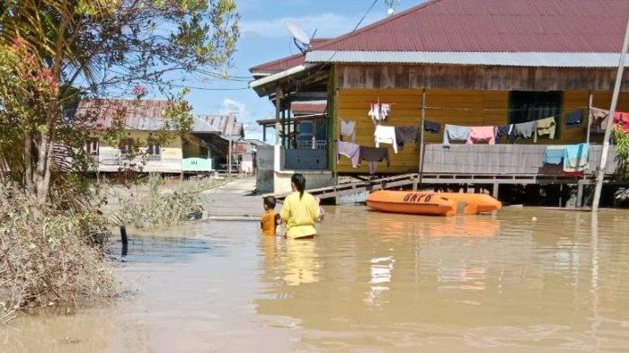 MASIH TERGENANG - Sejumlah rumah penduduk di RT 10 Malinau Kota masih tergenang banjir setinggi pinggang dewasa, Senin (26/5/2025). Lima permukiman penduduk di tengah kota Malinau ini selalu bernasib sama tiap kali bencana terjadi.
(TRIBUNKALTARA.COM / MOHAMMAD SUPRI)
