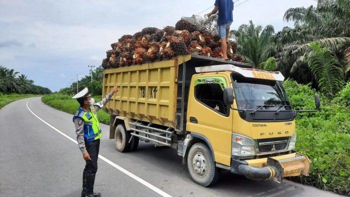 LARANGAN OVER DIMENSI - Mobil pengangkut kelapa sawit di Bulungan Kalimantan Utara, Kepolisian dari Polda Kaltara mensosialisasikan larangan over dimensi dan over load