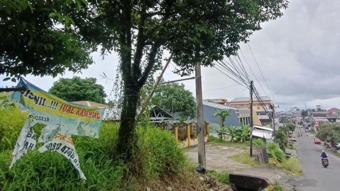 Ilustrasi baliho bacaleg yang berada di pohon tanpa izin bisa melanggar Perda Nomor 13 Tahun 2022.