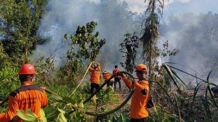 Ilustrasi Kebakaran lahan di Bulungan, Kalimantan Utara beberapa waktu lalu.