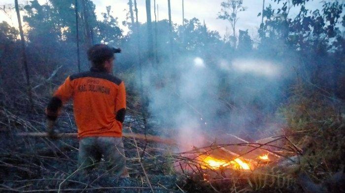 BPBD Bulungan bersama Tim Masyarakat Peduli Api Mangkupadi dan TNI lakukan pemadaman Karhutla di Desa Pindadak RT III Kecamatan Tanjung Palas Timur Rabu (24/8/2022)