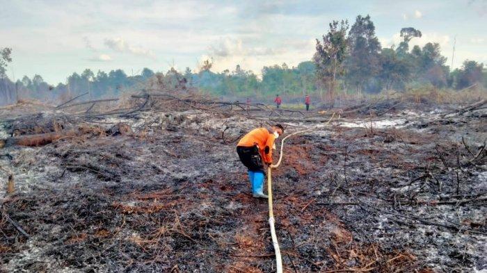 Kegiatan BPBD Bulungan saat lakukan pemadaman Karhutla di Tanjung Palas beberapa waktu lalu.