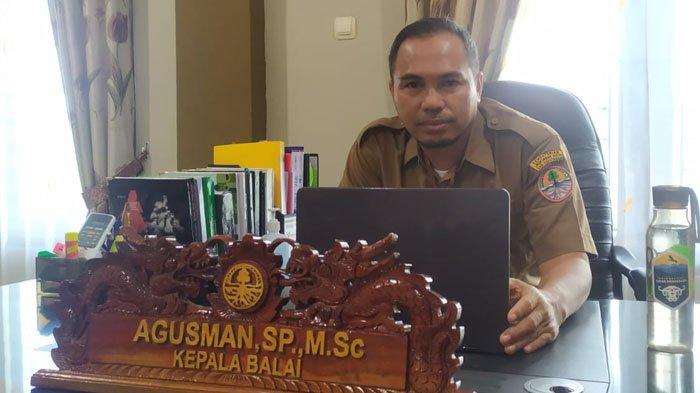 Kepala Balai Taman Nasional Kayan Mentarang, Agusman saat ditemui di Balai TNKM, Kabupaten Malinau, Provinsi Kalimantan Utara, Senin (13/12/2021).
(TRIBUNKALTARA.COM / MOHAMMAD SUPRI)