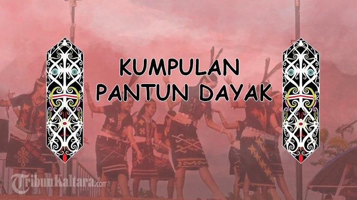 Kumpulan Pantun Dayak. (TribunKaltara.com)