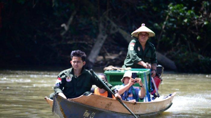 Individu orangutan hasil rehabilitasi dilepasliarkan oleh Balai Konservasi Sumber Daya Alam atau BKSDA Kaltim di kawasan hutan Sungai Payau atau Hutan Lindung Gunung Mesangat, Kecamatan Busang, Kabupaten Kutai Kartanegara, Rabu (24/5/2023).(Ho/BKSDA Kaltim)