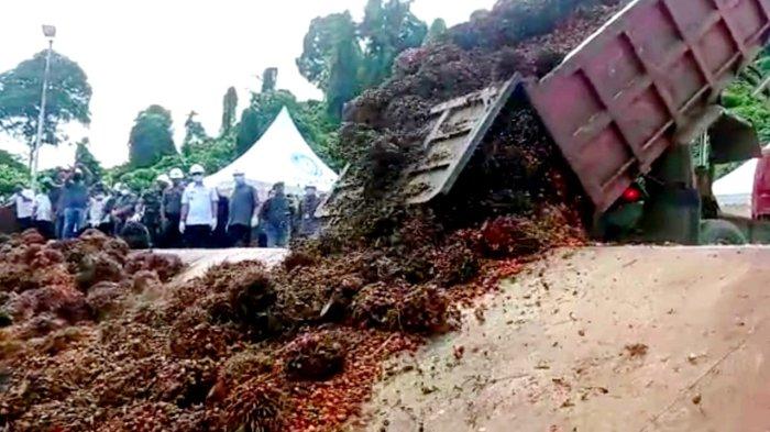 Penyaluran Tandan Buah Segar Sawit di Malinau bergantung pada ketersediaan BBM Solar di Kabupaten Malinau, Provinsi Kalimantan Utara, beberapa waktu lalu.