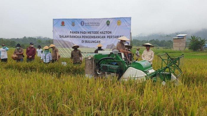 Hasil pertanian di Bulungan masih belum bisa memenuhi kebutuhan daerah. (Dok Pemkab Bulungan)