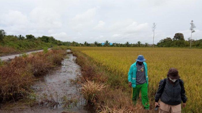 Petani di Desa Tanjung Buka, Tanjung Palas Tengah, Bulungan, Kalimantan Utara.