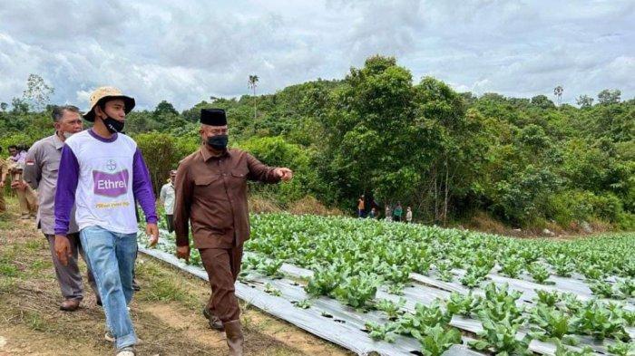 Petani milenial di Desa Bendang Raya, Tenggarong bernama Ridho Mahathir tengah melihat lokasi lahan pertanian bersama Bupati Kutai Kartanegara, Edi Damansyah
