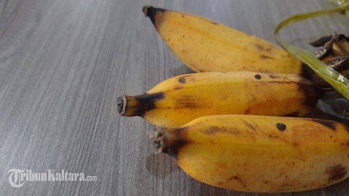 MANFAAT PISANG - Potret pisang. Simak manfaat pisang bagi kesehatan tubuh berikut ini, mulai dari meningkatkan kesehatan ginjal hingga mendukung kesehatan jantung.