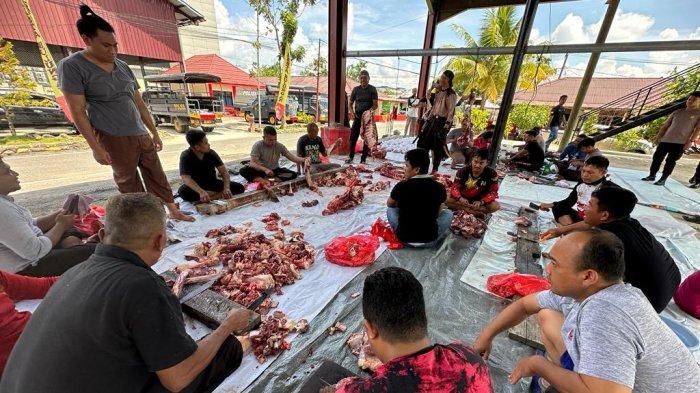 Pemotongan sapi kurban  di Mapolresta Bulungan, Kamis (29/06/2023)