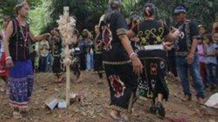 Sejumlah kegiatan masyarakat adat Dayak Abay Sembuak di Kecamatan Malinau Utara, Kabupaten Malinau, Kalimantan Utara.
