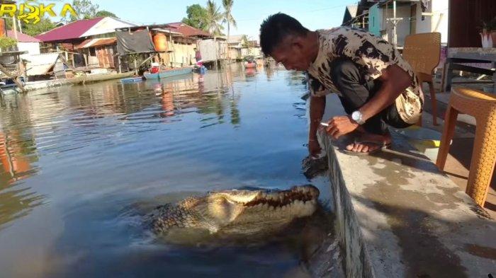 Tangkapan layar video Pak Ambo memberi makan Buaya Riska di Guntung Bontang.