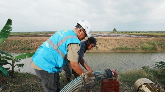 Petugas PLN bersama salah satu petani menyalakan pompa air bertenaga listrik untuk mengairi sawah di lahan percontohan Kawasan Food Estate di Kampung Telaga Sari, Merauke.