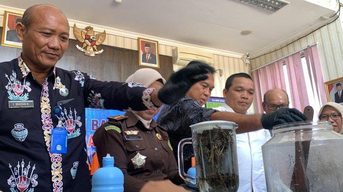 Pengungkapan transaksi narkotika jenis ganja seberat 108,49 gram dan pemusnahan oleh BNNP Kalteng bersama jajaran lembaga penegak hukum lainnya, Selasa (25/7/2023.