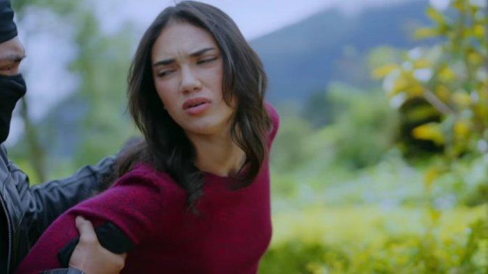 Sinopsis Rindu Bukan Rindu Nonton di Link Gratis Streaming SCTV Aksi Haico VDV Hari ini Sinopsis Rindu Bukan Rindu Nonton di Link Gratis Streaming SCTV Aksi Haico VDV Hari ini